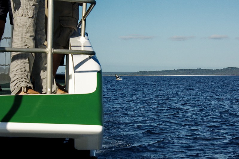 2009-11-06 22-04-35.jpg - ein Sprung zum Abschied!